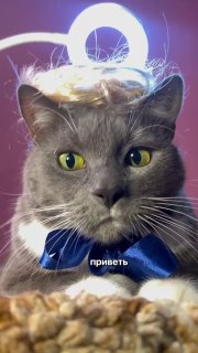 Изображение публикации