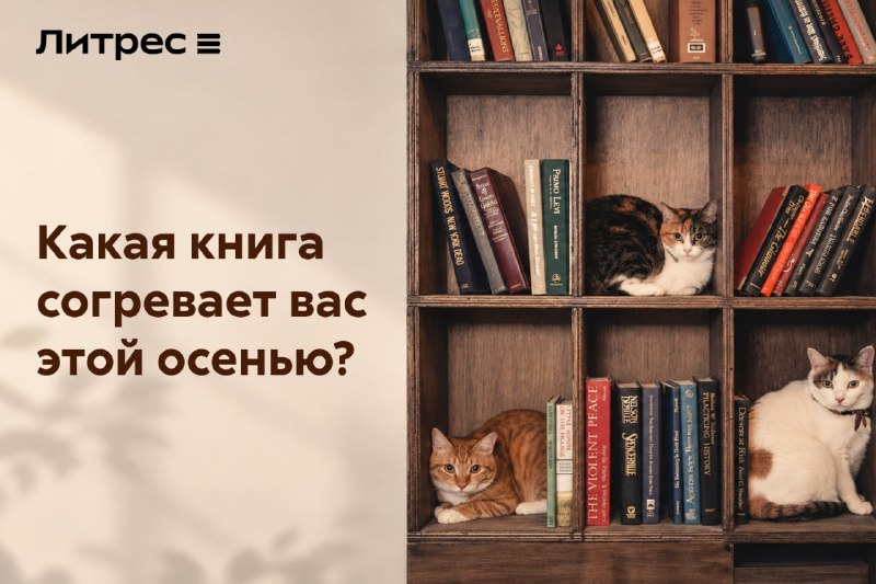 Изображение публикации